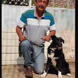 LUIZ ALITTO